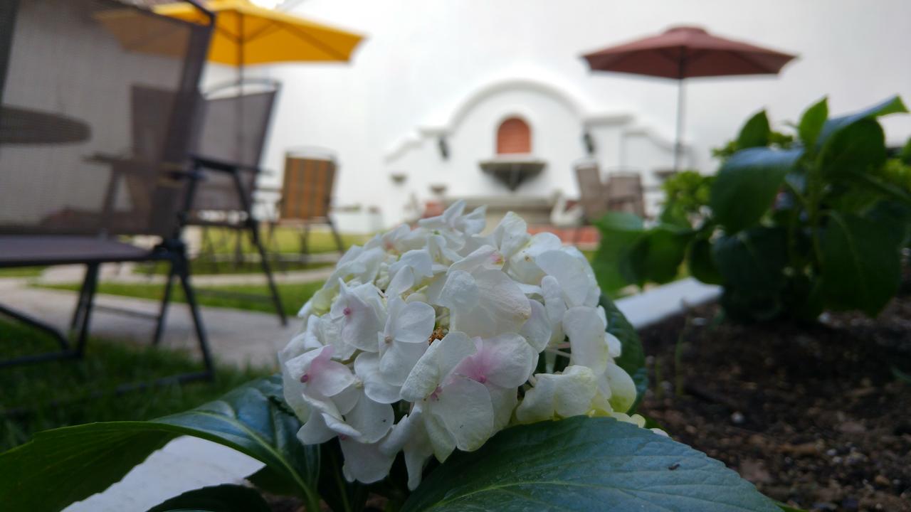 Ixkanul Antigua Hotel מראה חיצוני תמונה