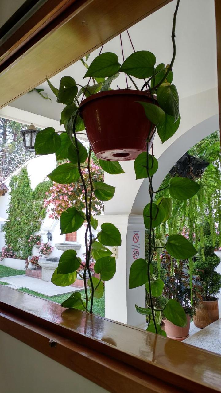Ixkanul Antigua Hotel מראה חיצוני תמונה